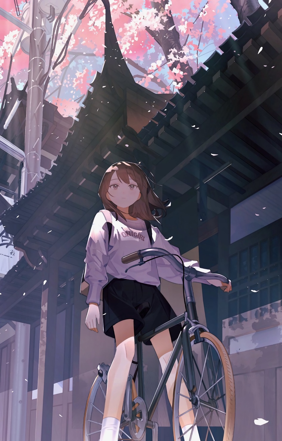 www